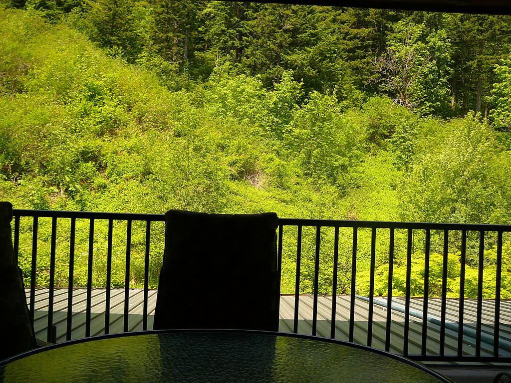 Bonneville Hot Springs Resort & Spa North Bonneville Pokoj fotografie